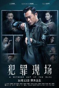 Неожиданный свидетель (2019)